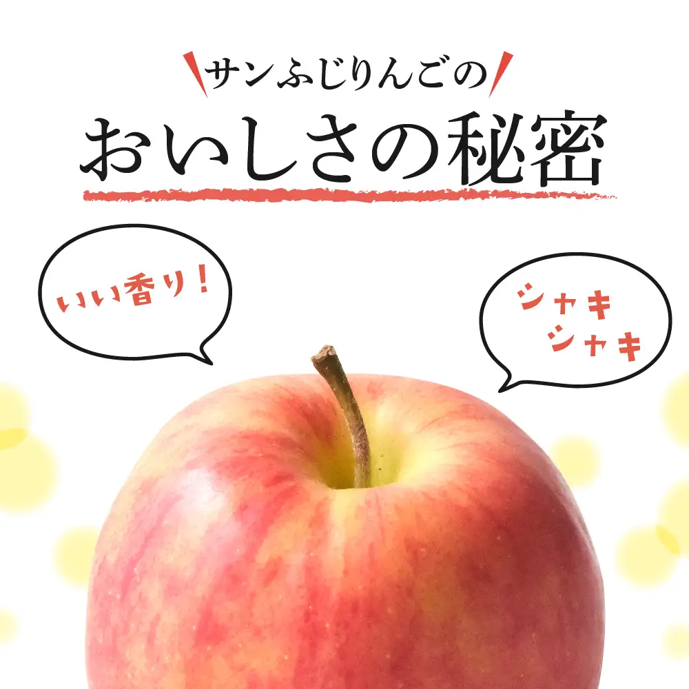 【2027年3月前半発送】 りんご 約5kg 丸福 サンふじ 青森県産 りんご
