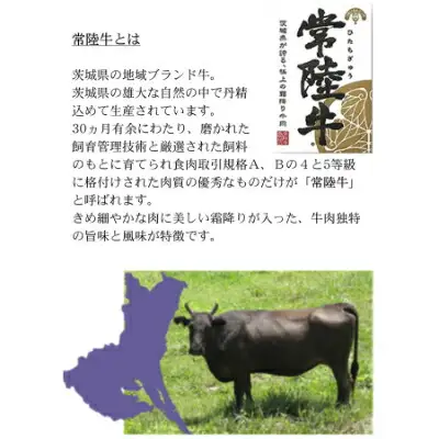 常陸牛100%ハンバーグ　150g×4個(和風ソース付)_肉 ハンバーグ 牛肉 _【配送不可地域：離島】【1244689】