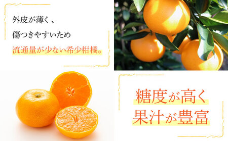 【先行予約】＜数量限定＞せとか3kg（8～15玉）化粧箱付き_K001-018
