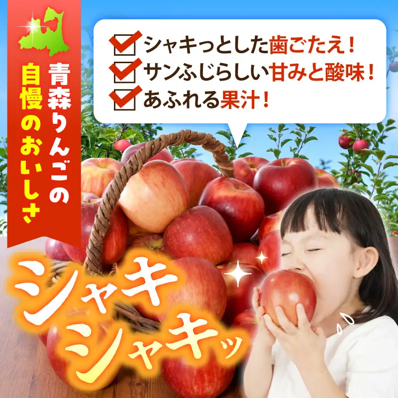 りんご 1月後半発送 訳あり 葉とらずサンふじ 約10kg りんご