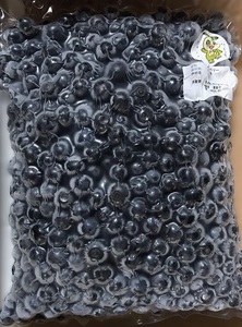 （冷凍）有機栽培　ブルーベリー　約５００g／きみちゃんファーム　果実　フルーツ　果物　国産　三重県　度会町