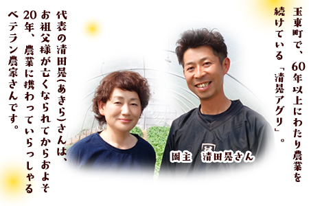 『清晃アグリ』のご家庭用ポンカン 約4kg(M-3Lサイズ)《12月中旬-1月中旬頃出荷》
