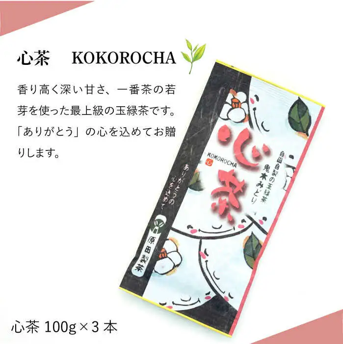 日本茶アワード受賞 玉緑茶「心茶 鬼木みどり」3本セット【原田製茶】 [GA16] 