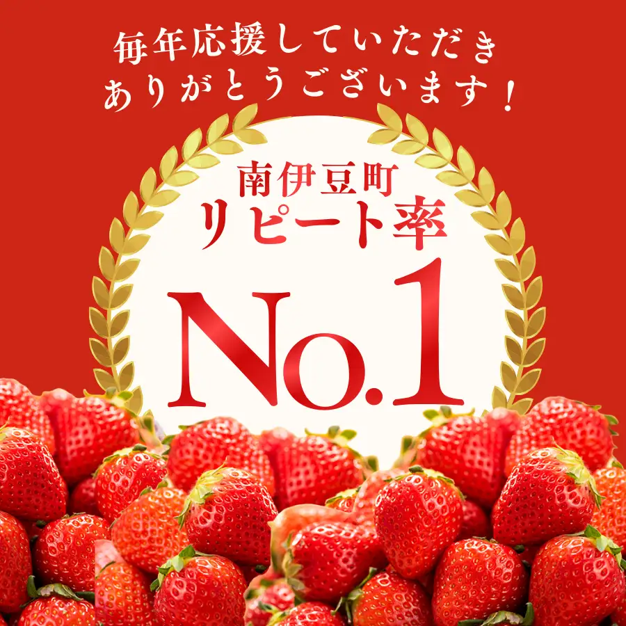【2027年発送予定】いちご 完熟冷凍いちご 1kg