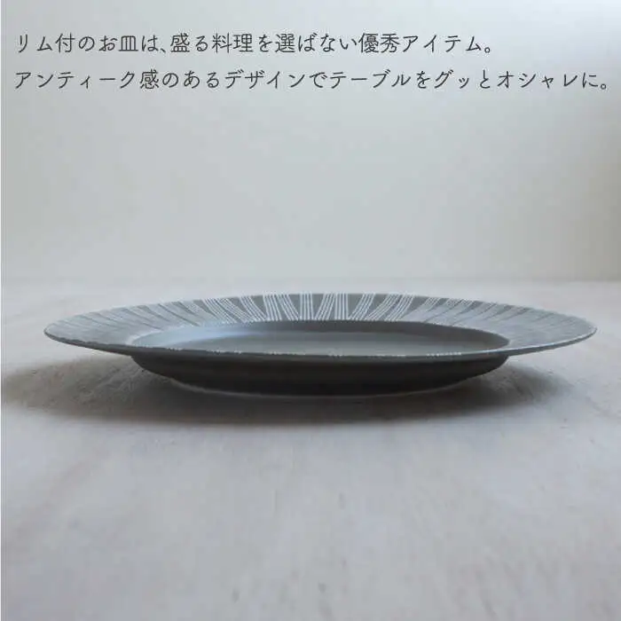【波佐見焼】Shabby chic style 25cm プレート 2枚セット（ライトグレー） 食器 皿 【和山】 [WB105]  波佐見焼
