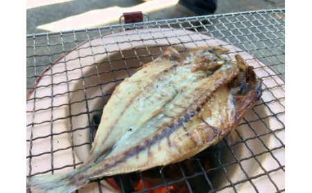 湯の花　干物セット６種　【 干物 】