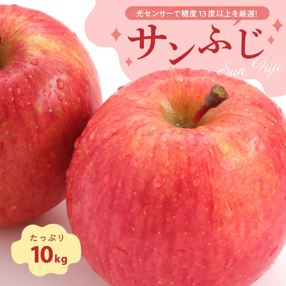 【2027年2月前半発送】 りんご 約10kg サンふじ 青森産 糖度 13度以上 贈答用 特選～特秀