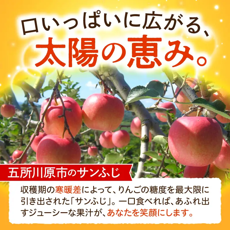 【2027年1月中旬発送】《訳あり》 りんご 約10kg サンふじ 青森産 りんご