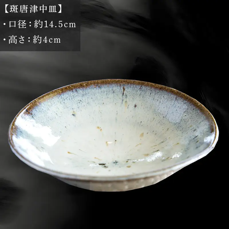 唐津焼 斑唐津中皿 中野政之作