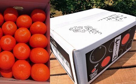 セミノール 特選33玉 Lサイズ 約5kg 果物類 柑橘類 フルーツ みかん ミカン