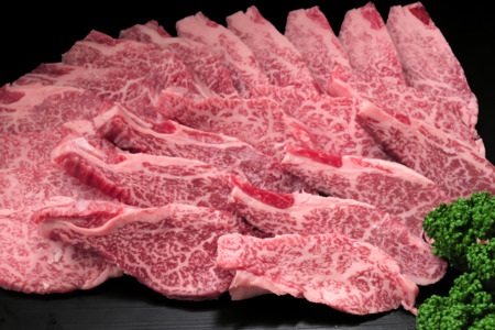 【訳あり】佐賀牛ヒレ焼き肉用600g (H065139)