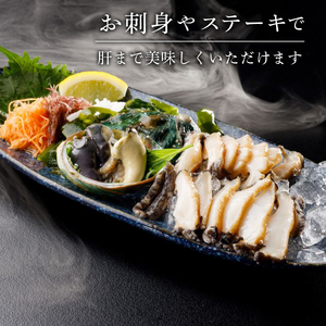 蝦夷あわび 10個 養殖 産地直送 活あわび 鮑 エゾアワビ あわび アワビ 鮑 Abalone ステーキ  バターソテー 正月 お正月 おせち  刺し身 刺身 バーベキュー BBQ ごはん 夕飯 おかず おつまみ 晩酌 米 丼 海産物 海鮮 魚介 魚介類 贈答品 お中元 お歳暮 大船渡 三陸 岩手県 国産 小分け 冷凍