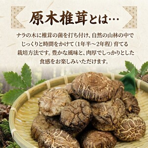 【予約】 原木乾しいたけ 200g(100g×2) 椎茸 ＼ しいたけ ／
