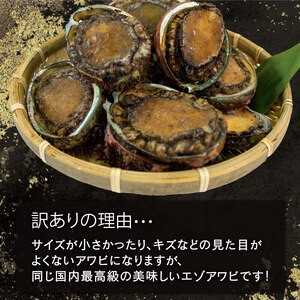 訳あり 蝦夷あわび 約1kg 冷凍 あわび