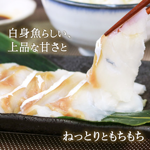 真たら 刺身 約1kg フィレ 国産 ＼ 鱈 ／