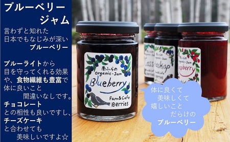 4種のベリー手作りジャム8個セット 北海道 南富良野町 ジャム ブルーベリー ハスカップ カシス ラズベリー 詰合せ 果物 果実 土産 