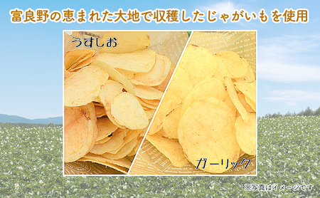 ポテトチップス 北海道 ふらの産 ふらのっち うすしお ガーリック 詰め合わせ セット ふらの農業協同組合 食べ比べ じゃがいも スナック スナック菓子 ポテトチップ 芋 菓子 お菓子 おやつ 箱 農協 ギフト ふらのッち 