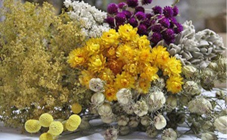 ＜おうちでアレンジ！＞ドライフラワー（黄色系）プレゼント付 北海道 南富良野町 ドライフラワー 花 お花 華 花束 ファッション小物 インテリア 贈り物 