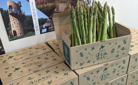 [2027年発送/先行予約] 北海道 十勝産 ハウスグリーンアスパラ 1kg (M～3L) [北王農林]【 アスパラ アスパラガス グリーン 野菜 北海道 十勝 幕別 】