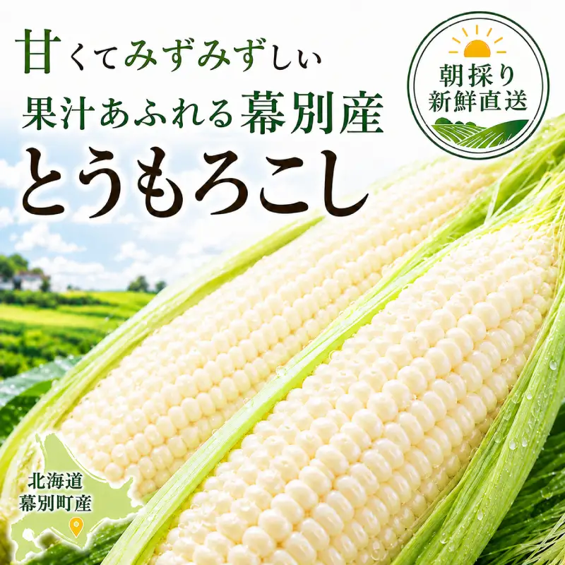先行予約 2026年 白とうもろこし 10本 とうもろこし