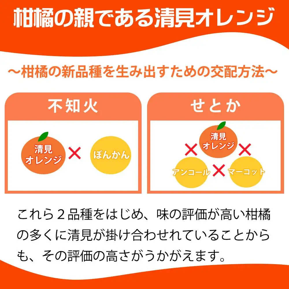 ［ご家庭用訳アリ］紀州有田産清見オレンジ　7.5kg［2027年3月下旬以降発送］［先行予約］［UT54］