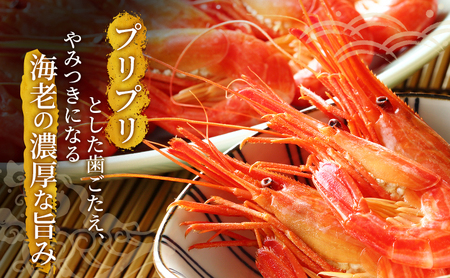 えび 3D冷凍 北海道 厚岸産 浜茹で 北海しまえび 大サイズ 500g (25尾前後) 海老 エビ 