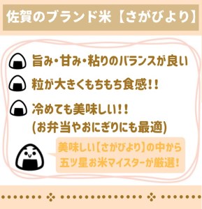 CID43_【６回定期便】さがびより白米１０kg（５kg×２袋） 【五つ星お米マイスター厳選！】