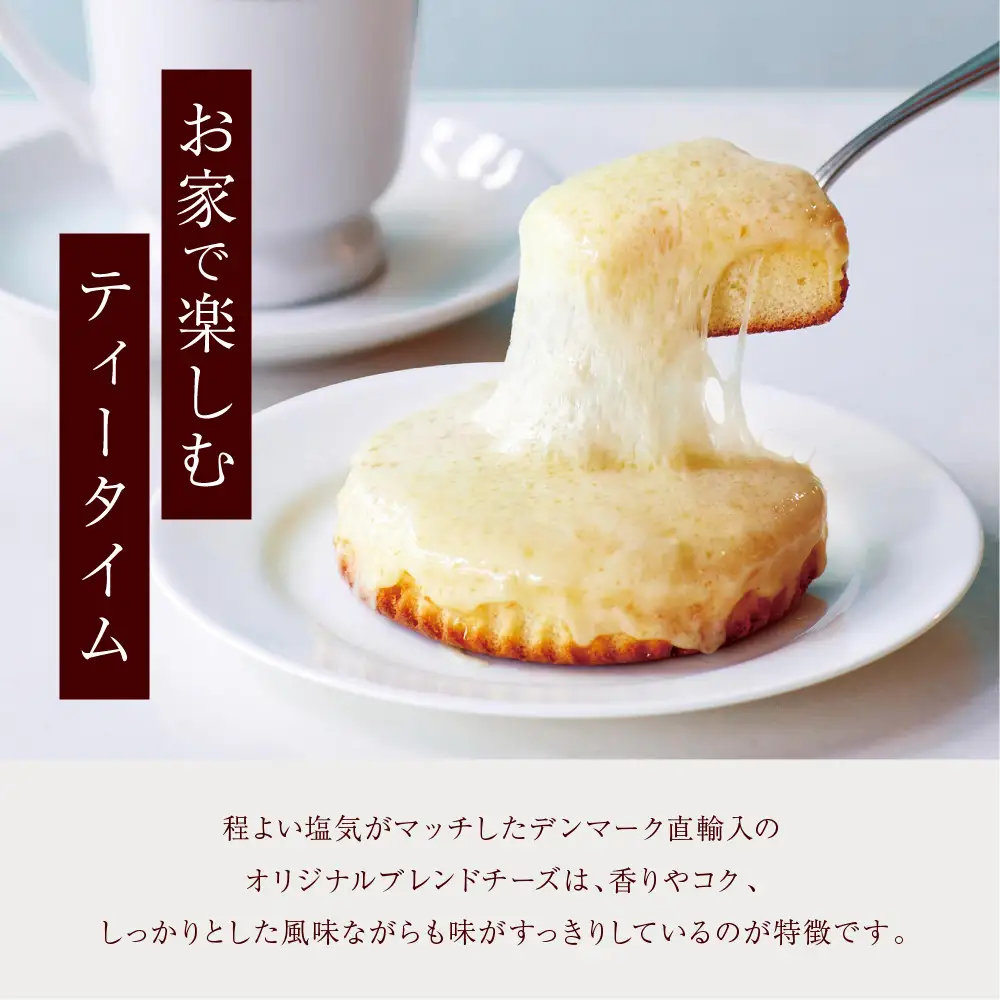 ＼現寄附額は9月30日まで／【観音屋】デンマークチーズケーキ　10個入り ケーキ スイーツ