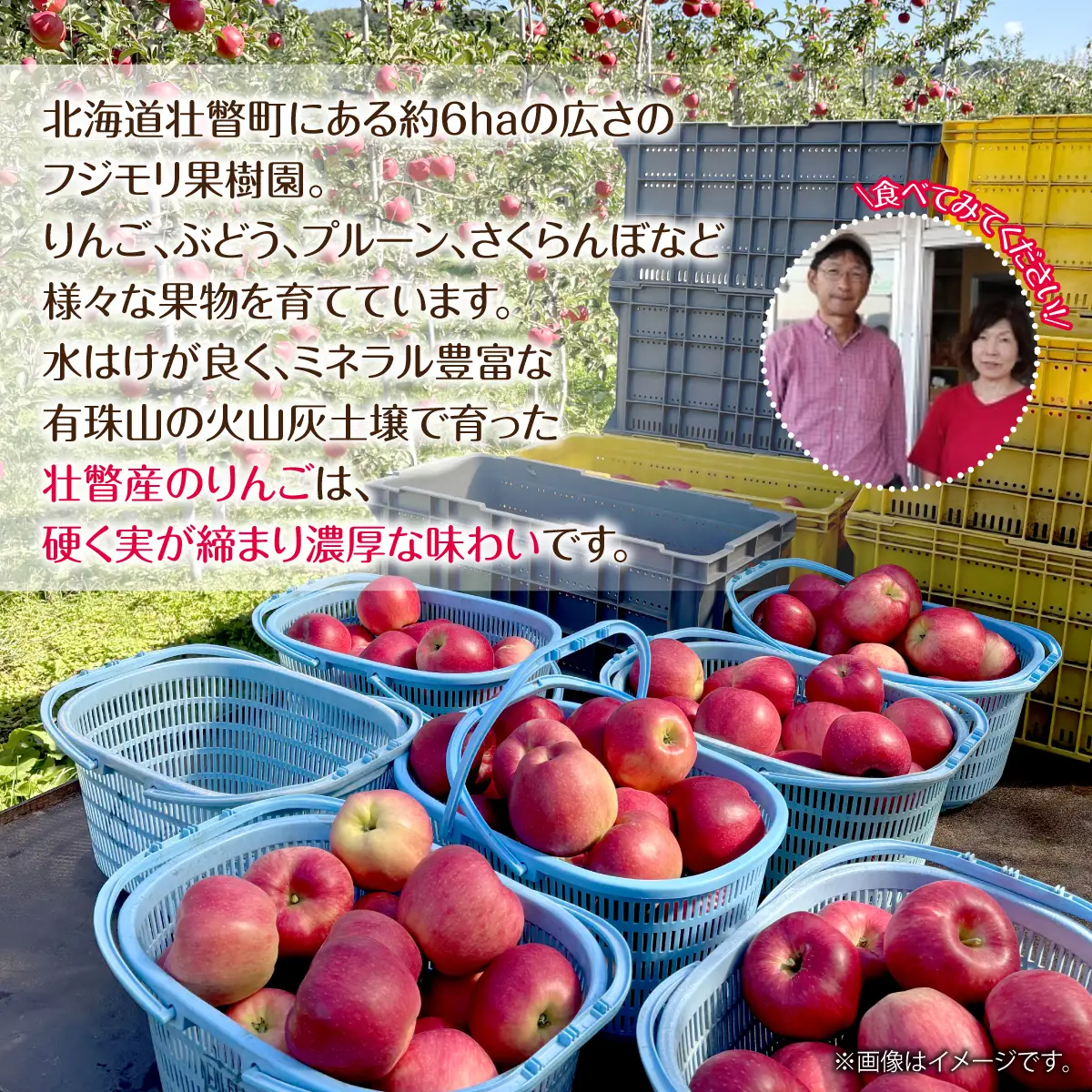 【先行予約】北海道壮瞥町産りんご「サンつがる」約5kg(14～18玉)＜2026年9月下旬よりお届け＞ SBTF010