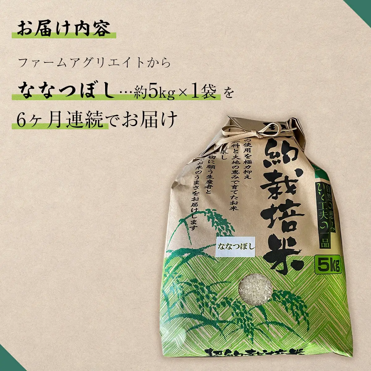令和6年産米 ファームアグリエイトのななつぼし　約5kg×1袋を6ヶ月連続お届け SBTB003