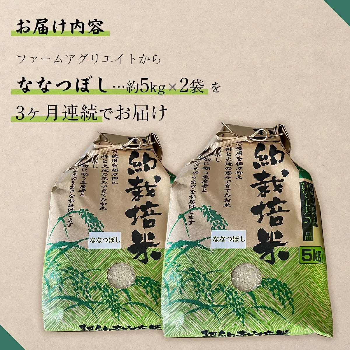 令和6年産米 ファームアグリエイトのななつぼし　約5kg×2袋を3ヶ月連続お届け SBTB006