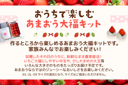 あまおう 大福手作りキット（2パック） いちご 　BD03