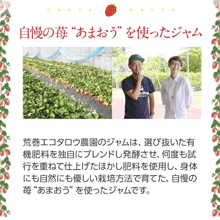 プレミアム熟成いちごジャムセット（200ml×3瓶）　【2026年2月以降】　BJ01