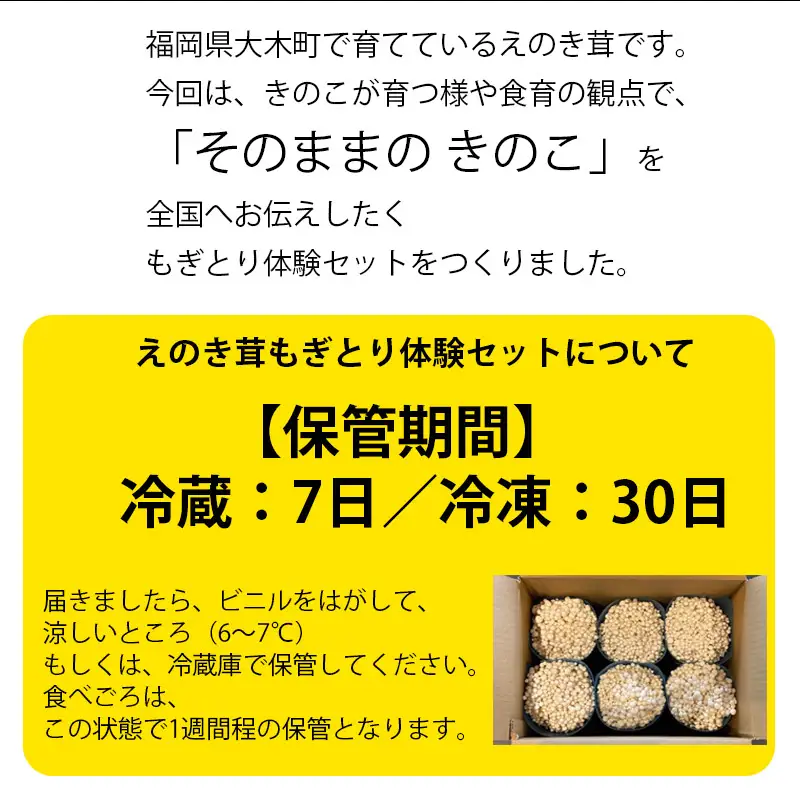 えのき茸もぎとり体験セット　BF03