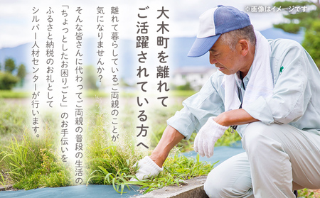 親孝行しっかり代行サービス （14時間程度）シルバー人材 食事 支度 掃除 洗濯 ゴミ出し 布団干し 買い物 庭 水やり 草むしり 通院介助 軽介護 大木町 公益社団法人大木町シルバー人材センター AD04