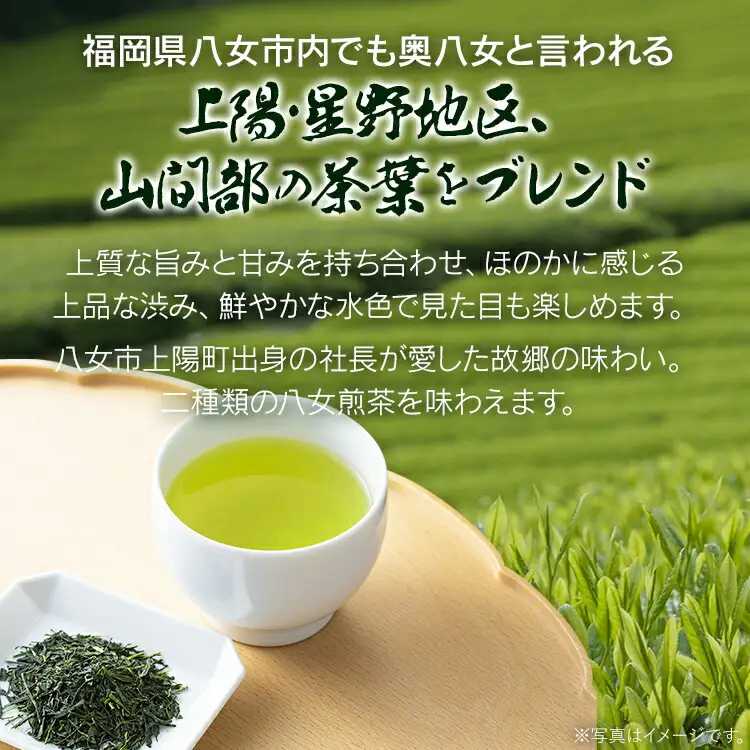 銘茶 八女茶　詰合せ　BB05