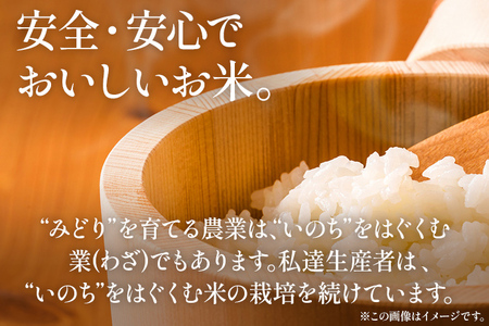 米 白米 ヒノヒカリ 精米 れんげ栽培米 自然農法れんげ栽培米「ヒノヒカリ」（精米・ 5kg）5kg 【2026年10月中旬より順次発送予定】れんげ草 れんげ栽培 有機肥料 有機栽培米 SDGs 環境 予約 国産 福岡県産 福岡県 大木町 中島農産 BI01