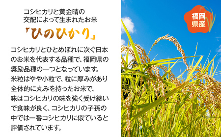 【令和7年産】 福岡県 大木町産 ヒノヒカリ 20kg　BC04