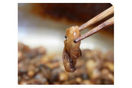 〈浦戸諸島〉　「カキの佃煮」セット　【04203-0459】