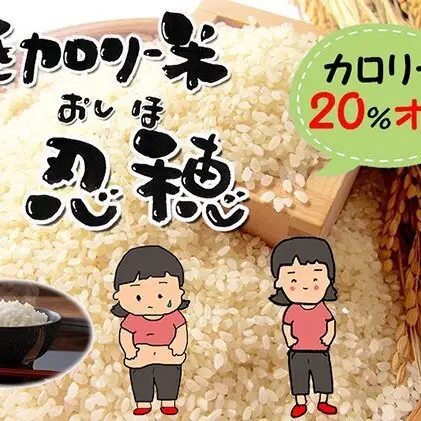 低カロリー米  忍穂（おしほ）5kg お米 