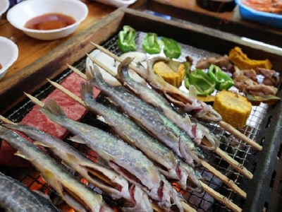 大正池グリーンパーク・大正池渓流魚センター共通利用券（9,000円分）【118】