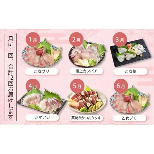 【 刺身 】 刺身定期便 12ヶ月