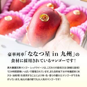 【令和9年発送】宮崎県産完熟マンゴー　「レッドクイーン」M×4玉 【 果物 フルーツ マンゴー 宮崎県産 完熟マンゴー みやざきマンゴー 先行予約 数量限定 期間限定 】