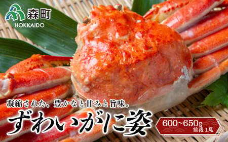 ずわいがに姿 600～650g前後 1尾 ＜ワイエスフーズ＞ かに カニ 蟹 ガニ がに 森町 ふるさと納税 北海道 ずわいがに ずわいかに ズワイガニ mr1-0429