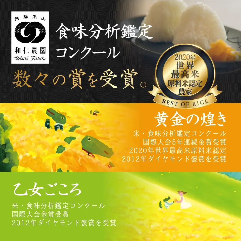 【令和8年度産 新米】【先行予約】こしひかり 世界最高米「黄金の煌き」10kg (5kg×2) |新米 米 お米 コメ 白米 原料米認定農家 飛騨産 コシヒカリ 飛騨高山 和仁農園 MF020-26
