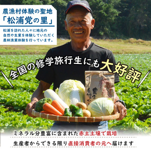 農漁村体験の聖地「松浦党の里」旬の野菜とお米(3kg)セット【119-0001】