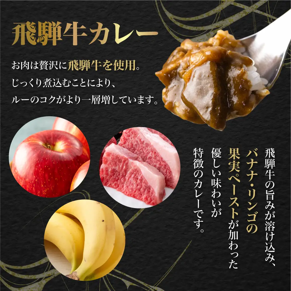 飛騨牛カレー  &トマトカレー  計12袋  | 訳あり ビーフ カレー 常温 DC004VC13