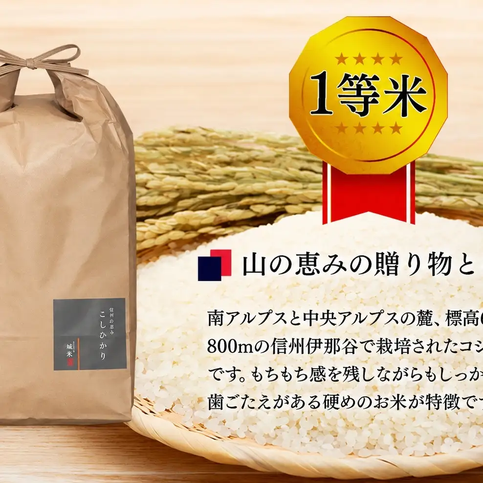 【令和8年度】６ヶ月連続お届け 定期便 信州産 コシヒカリ 1等米 「山の恵みの贈り物」 20kg(10kg×2袋) 計120kg （ お米 コシヒカリ 白米 搗きたて米 低温貯蔵米 食品 ) 計120kg 