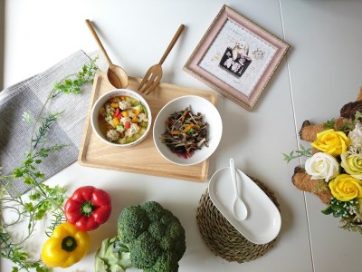 ドッグフード 【ペット食育士監修】 日向市産の野菜をたっぷり使った 手作り ドッグフード (4種×各1個)
