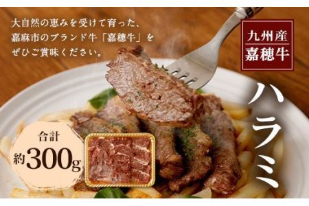 嘉穂牛 ハラミ 約300g 数量限定 ブランド牛 牛肉